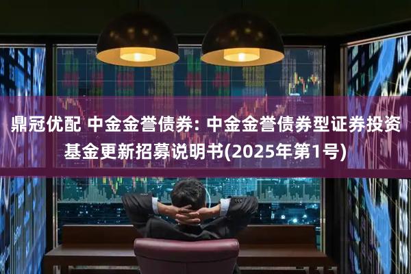 鼎冠优配 中金金誉债券: 中金金誉债券型证券投资基金更新招募说明书(2025年第1号)
