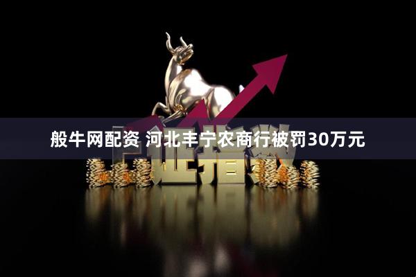 般牛网配资 河北丰宁农商行被罚30万元
