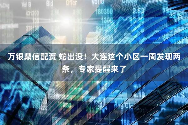 万银鼎信配资 蛇出没！大连这个小区一周发现两条，专家提醒来了